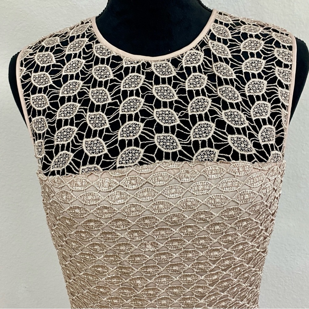 Diane Von Furstenberg Nude/Blush Kinchu Lace Sheath Dress, Size 8, Classic, Chic - Picture 2 of 8